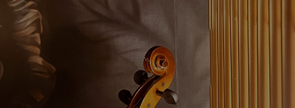 THE STUDIO