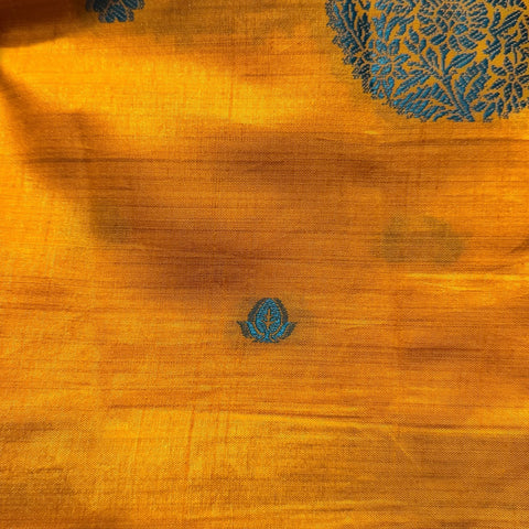 Sari 6